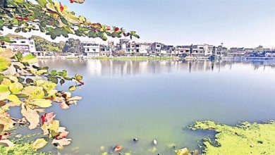 Photo of सिद्दीक हसन तालाब में छोड़ा जा रहा चिकित्सकीय अवशिष्ट, बिगड़ रही पानी की सेहत