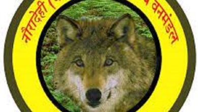 Photo of वन विभाग की टीम पर बम से हमला