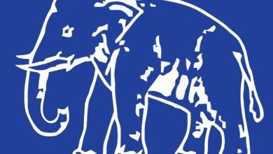 Photo of रैगांव में हाथी मुकाबले में