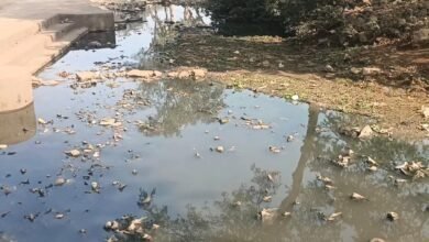 Photo of चित्रकूट की मां मंदाकिनी नदी गंदगी से कराहती, नगर परिषद की उदासीनता पर उठे सवाल