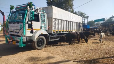 Photo of अवैध पशु परिवहन का भंडाफोड़, दो आरोपी गिरफ्तार, 42 भैंस-पड़ा और डीसीएम ट्रक जप्त, कीमत करीब 38 लाख रुपये
