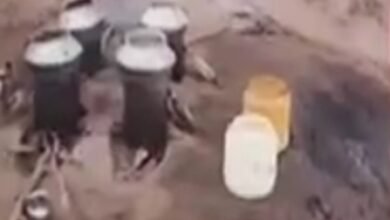 Photo of लोसरिहा में अवैध महुआ शराब पर पुलिस की कार्रवाई, 70 लीटर देशी शराब जब्त