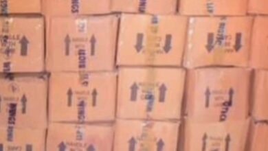 Photo of जंगल में नशे का गोदाम! सतना में 28 लाख की कफ सिरप पकड़ी, ‘जस्सा’ नेटवर्क पर पुलिस की बड़ी चोट