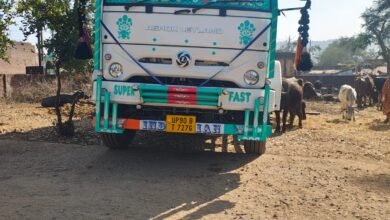 Photo of मझगवां थाना पुलिस की बड़ी कार्रवाई, ट्रक से 42 भैंसें बरामद