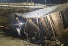 Photo of रामवन पथ गमन हाईवे पर भीषण हादसा: भैंसों से भरा कंटेनर और ट्रक भिड़े, कई जानवरों की मौत