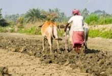 Photo of 910.384 हेक्टेयर जमीन पर 40 साल की खनन लीज! तीन हजार से अधिक किसान प्रभावित होने की आशंका