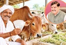 Photo of देसी गाय पालने वाले किसानों को हर महीने 900 रु का अनुदान