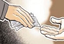 Photo of पांच साल में ट्रैप मामलों का आंकड़ा 162 से 238 तक पहुंचा