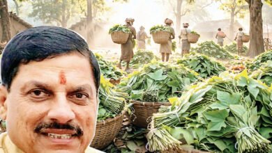 Photo of तेंदूपत्ता संग्राहकों के खातों में पहुंचेगा 36.17 करोड़ का बोनस